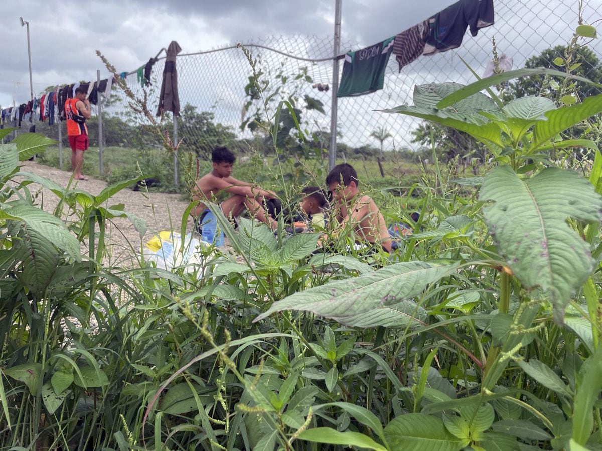 Minors Migrating Alone: ​​A Growing Tragedy in the Colombian Borderlands