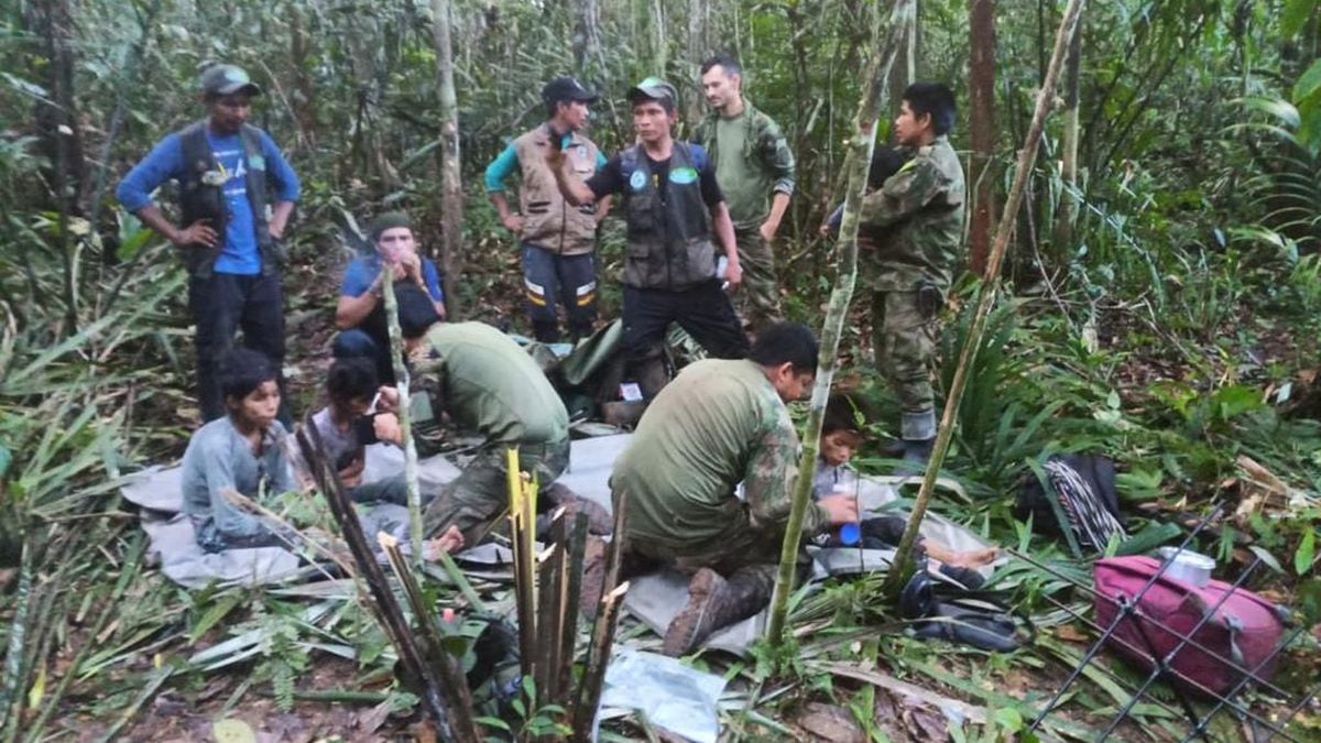 Operación Esperanza': la alianza clave entre militares e indígenas para  encontrar a cuatro hermanos perdidos en la selva | EL PAÍS América Colombia