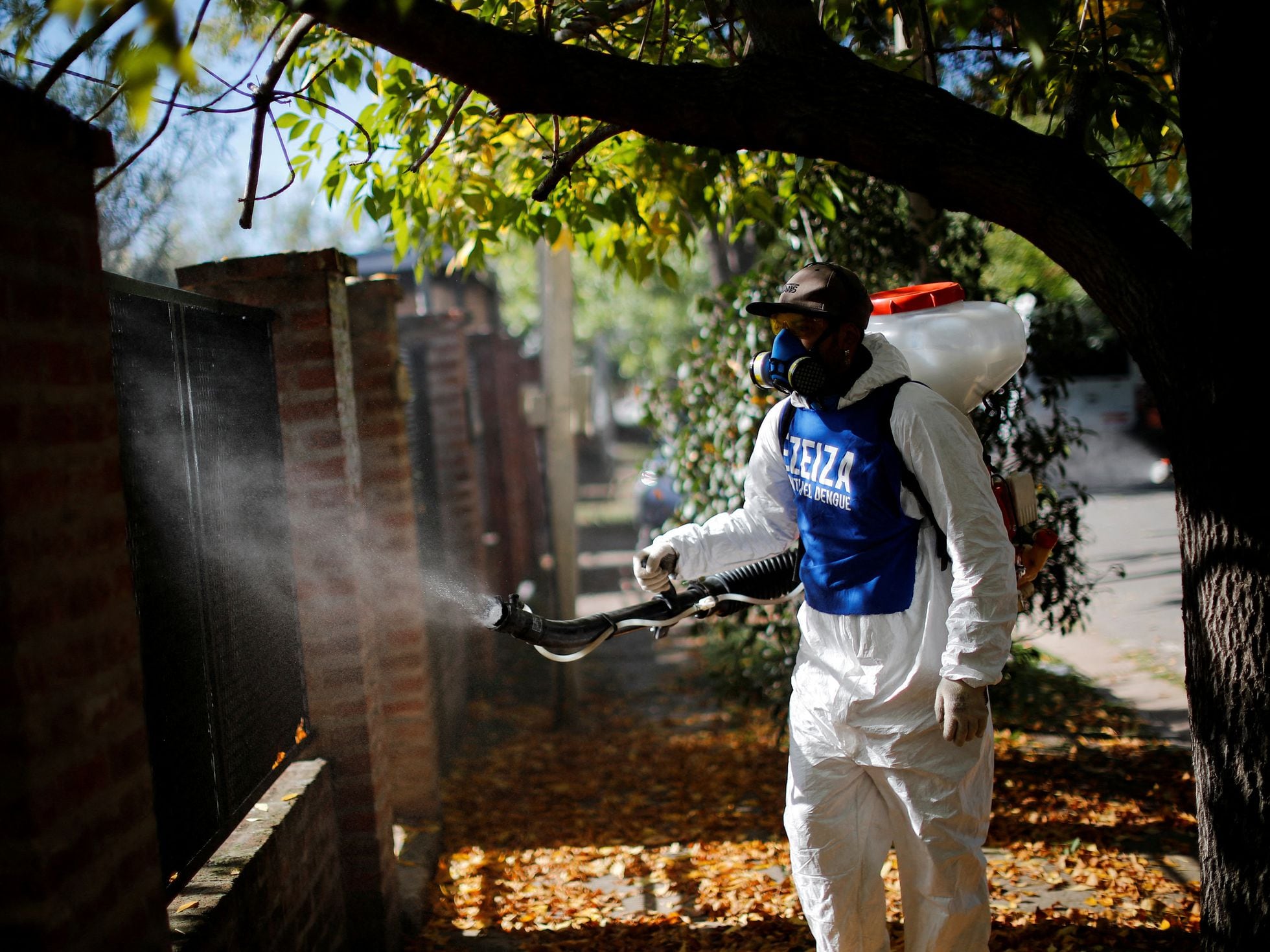Argentina registra el brote de dengue más letal de su historia, con al menos 39 muertos | EL PAÍS Argentina